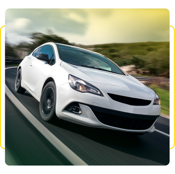 VEJA <br> <strong> OS SEGMENTOS QUE ATUAMOS </strong>