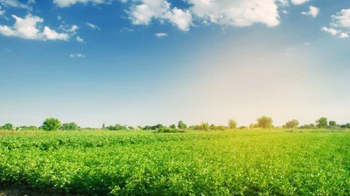 Qualidade das peças de borracha: Qual a importância para os implementos agrícolas?